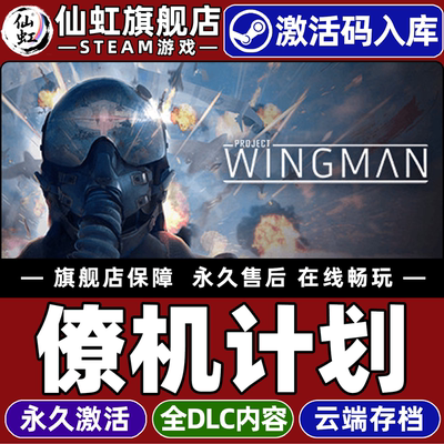 Steam正版僚机计划激活码CDKey