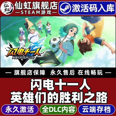 正版闪电十一人英雄们的胜利之路