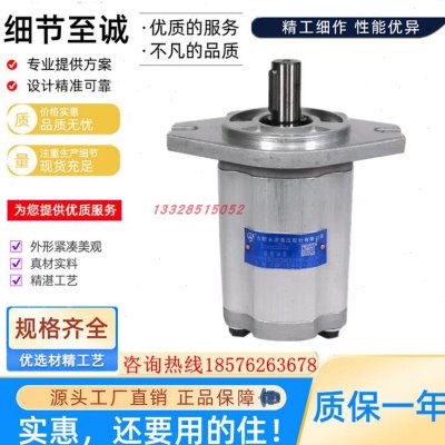 合肥长源齿轮泵CBF-F650/F663/F671/F680/F690/F6100-AFH叉车油泵