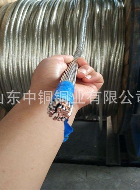 裸铜绞线TJ-150 镀锡铜绞线TJX-120mm2接地铜绞线