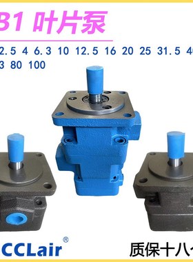 YB1-2.5 4油泵6.3叶片泵10 12 16 20 25 32 40 YB1-50 63 80 100