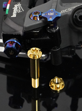 瑞莫 直推总泵RCS19 CC钛合金拉杆插销射灯加长款M645L配螺母