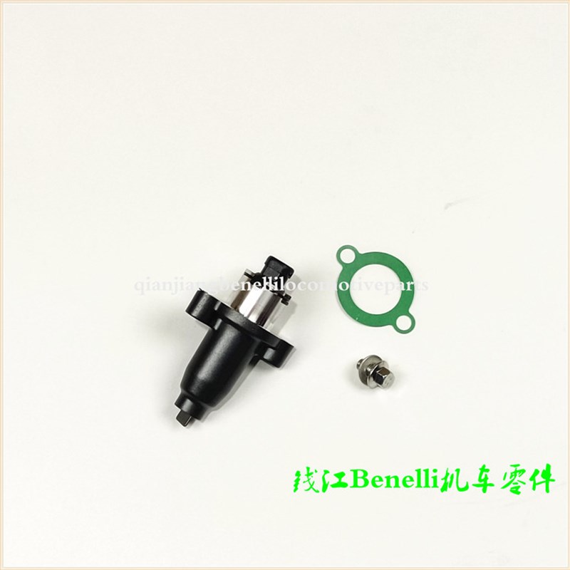 黄龙BJ600GS/300/302赛/追600/350金鹏500分T气链条调整器张紧器