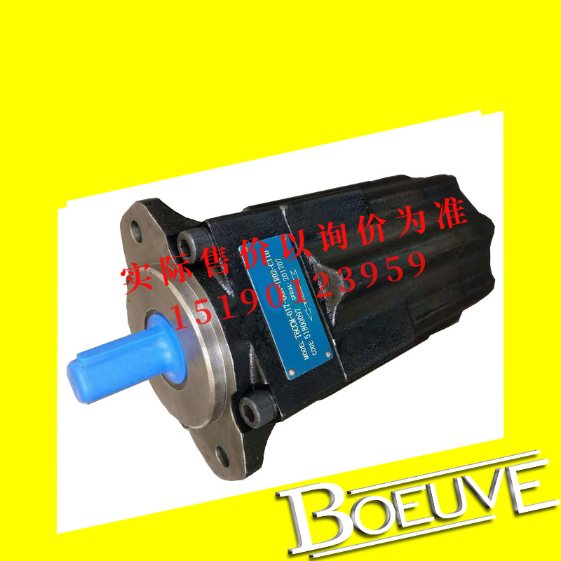 丹尼逊DENISON叶片泵/油泵T6C/T6D/T6E/T6CC/T6DC/T6ED/T6CCW