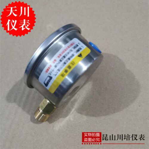抗震防震耐震膜盒压力表YNE-60上海天川仪表KPA微压表充油