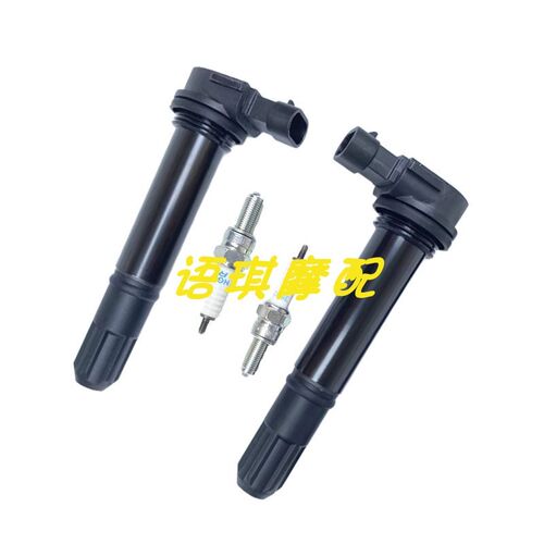 适用倍力尼金鹏502/TRK502X幼狮500/BJ502C/752S高压包火花塞点火