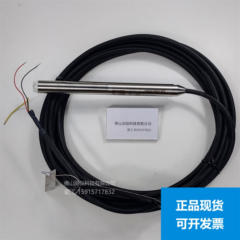 E+H 静压式液位计 投入式FMX21 恩德斯豪斯FMX167 FMX11 FMX165