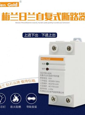 天津梅兰日兰自动合闸自复式过欠压保护器2p4p40A50A63A100A