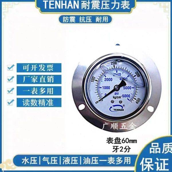 TENHAN 耐震压力表YN60ZT  350kg 600kg 100kg  400KG 250KG 仪表