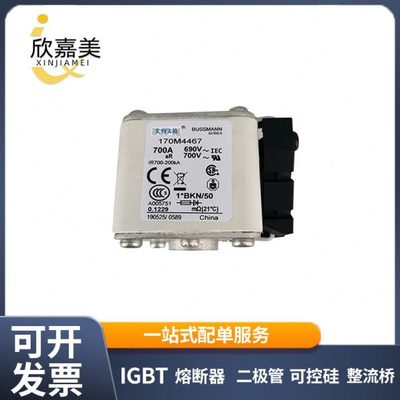 低压快速熔断器170M4467 170M4661 170M4813 量大价优 规格齐全