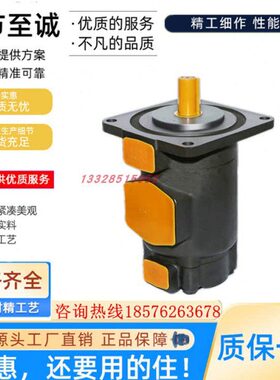 YLC仙居永灵叶片泵SQP32-32-15-89CAF-R/SQP32-25-15-89CAF-R油泵