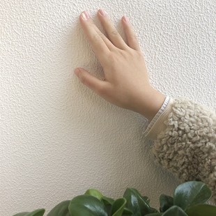 25公斤弹性拉毛漆艺术漆背景墙室C内硅藻泥墙面漆凹凸环保拉花肌