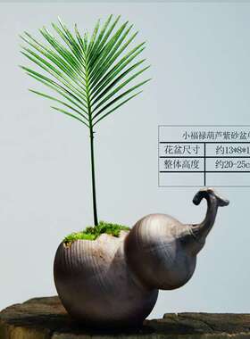 铁树盆栽室内客厅盆景办公室桌面绿植四季好养常青展厅装饰植物