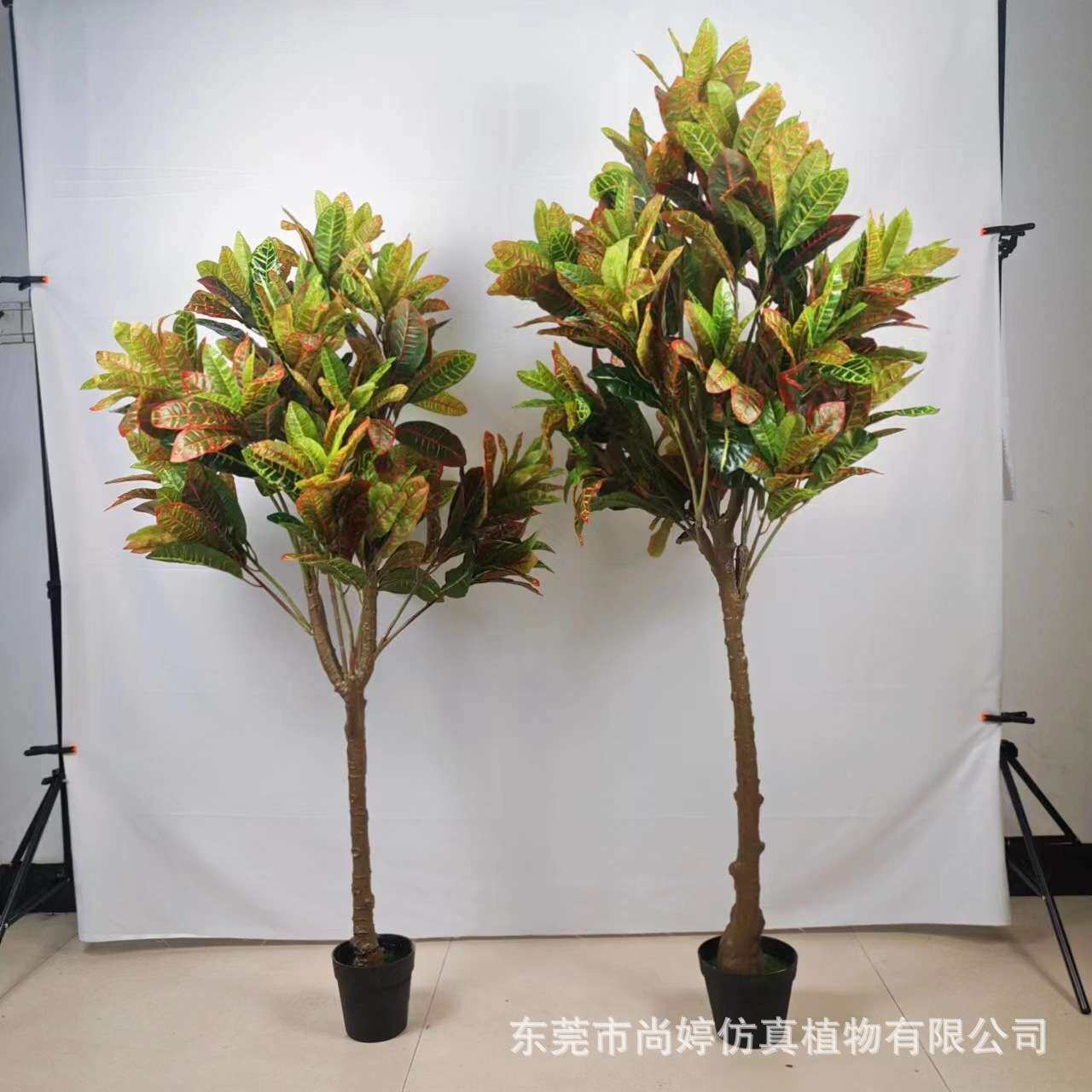 仿真洒金榕变色木 北欧风室内人造植物 室内装饰绿植盆景造景