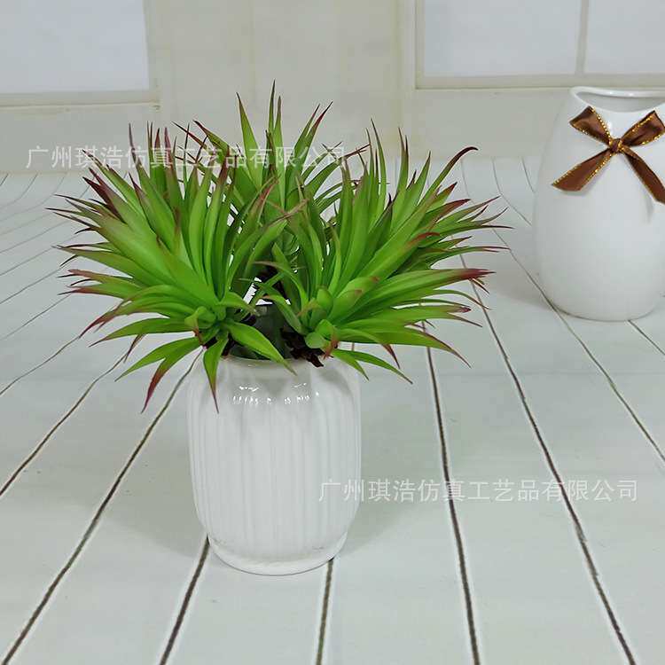 仿真植物菱角草 热带雨林塑料剑叶草植物墙 家居仿真菱角草配材