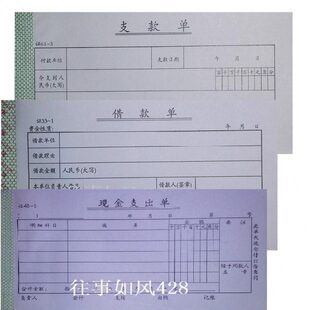 支款单记账凭证借据用款申请单现金支出单借款单白据费用报销单