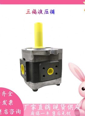 VOITH福伊特齿轮泵IPV7-160-111 IPVP7-200-151 IPC7-125-611油泵