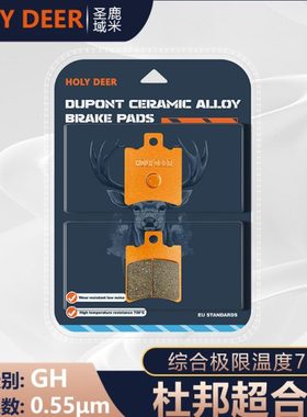 适用春风极核AE4 /AE4i AE4Ipro AE4SE电动车升级款高性能刹车片