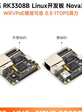 Weixue Xinghu Luckfox Nova开发板锐新微Rk3308B编解码器音频解