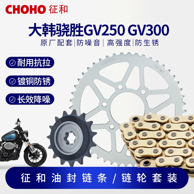 适用大韩骁胜HYOSUNG GV250 GV300S征和油封链条牙盘静音降噪套链