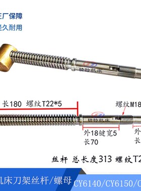 云南机/宝鸡CY6140/CS6150 刀架丝杆4031 螺母T22 托板丝杆 长313