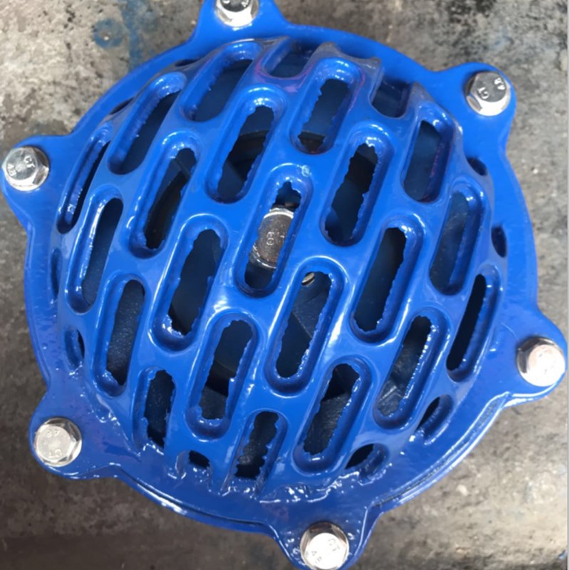 法兰底阀H42X -10/16 自吸泵球磨铸铁抽水污水处理消声底阀止回阀