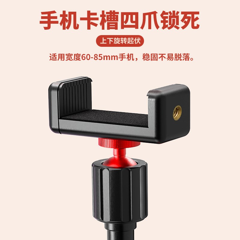 两用钓箱专用手机直播支x架钓鱼灯架钓椅夜钓灯支架万向户外