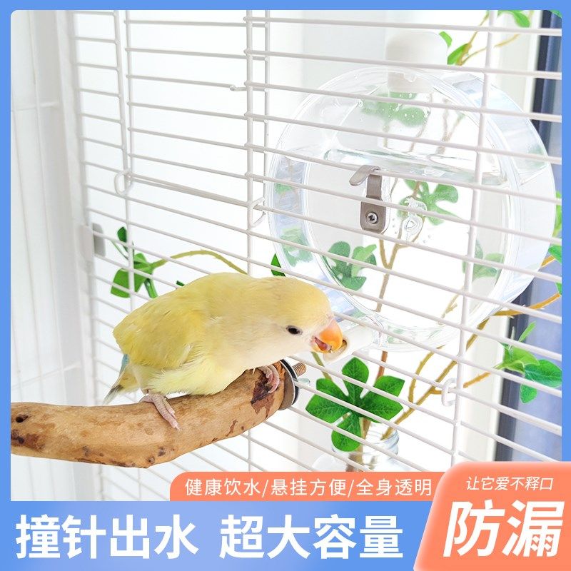 鹦鹉撞针水壶鸟用饮水器玄凤自动喂水器饲养笼子造景布景生活用品,工业油品/胶粘/化学/实验室用品,烧杯/烧瓶,淘宝优惠券,粉丝福利购,淘宝优惠卷