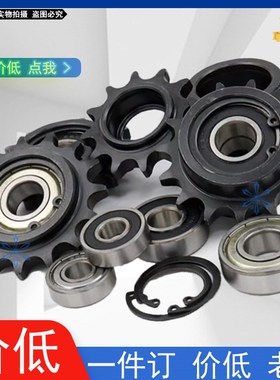 DRC/DRCS/DRCW/DRCS/DRCBW/DRCSBW25 35 40 50 60 80B惰轮链轮