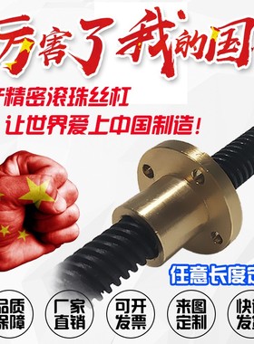 LTAR/LTBR/LTCR8 10 12 14 16 20 22 25 30 32 36 40梯形丝杆丝杠