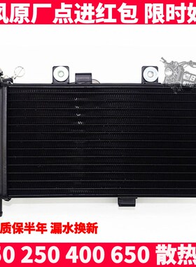 CF春风摩托原厂配件 NK150 250 400 650NK 冷却液水箱 散热器总成