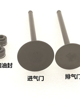 宗申赛白板机/赛字机/华洋T4/正林/CQR250风冷链条机CB250气门