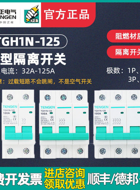 TENGEN天正TGH1N小型隔离开关HL30-125断路器导轨1 2P 3P 4P 100A