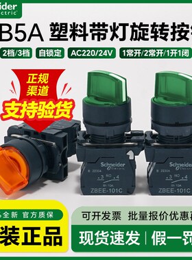 施耐德带灯选择开关黄色ZB5AK1253C+ZB5AW0B51C 二档自锁LED旋钮