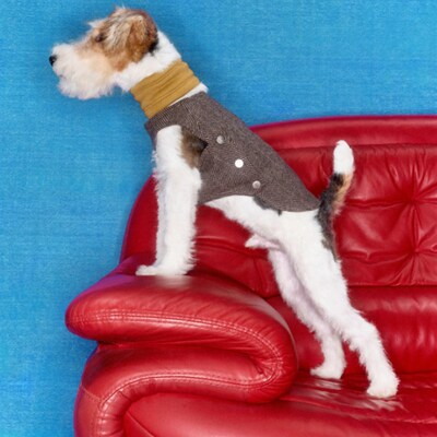 人字纹羊绒夹克 JACQUES WEI小型犬秋冬保暖带围脖petis