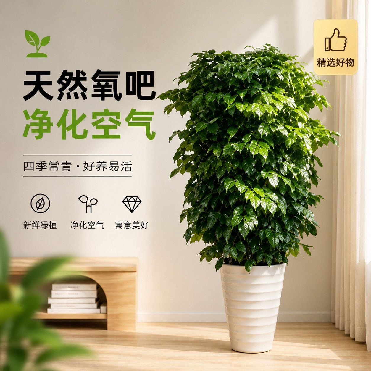 正宗幸福树四季常青大型客厅办公室绿植室内平安植物净化空气盆栽