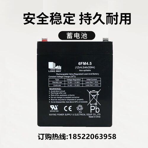 龙威电瓶儿童电动摩托车配件电池6V4A 6V4.5A LOGWAY遥控车专用