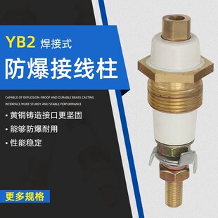 YBX3 X4防爆电动机接线柱380V三相YB2电机焊接铜柱螺丝杆接线端子