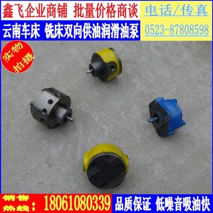 云南车床机车CY6140床头箱油泵CY6150摆线泵CY6250铣床油泵配件B