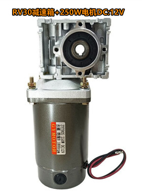 250W涡轮减速电机NMRV30永磁直流马达DCMOTOR12V24V48V110V220V