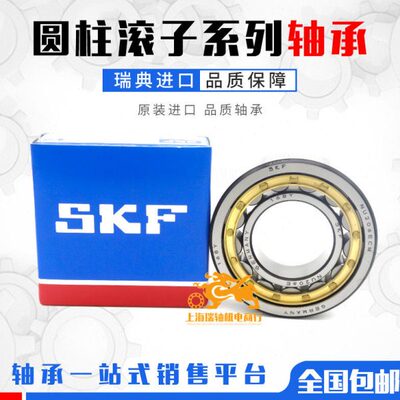 进口减速机轴承 RN205 206 219 222 228 307 308 309 312 328M