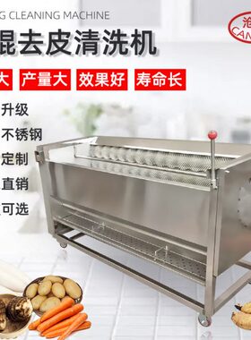 沧泊毛辊清洗去皮机商用土豆削皮机芋头藕毛刷全自动多功能脱皮机