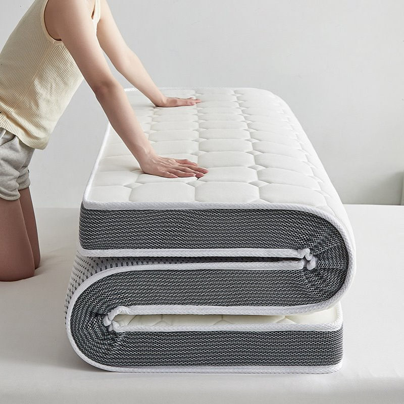 乳胶床垫软垫家用睡垫学生宿舍单人租房专用榻榻米记忆海绵铺地垫