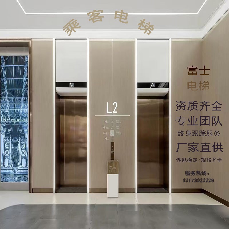 商用低层高层宾馆办公楼民宿医院自建房别O墅家用电梯生产定制