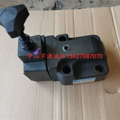 溢流阀 SRV-06G 03G RV-06G  SBG-06 BG-06 03电磁溢流阀 ASHON