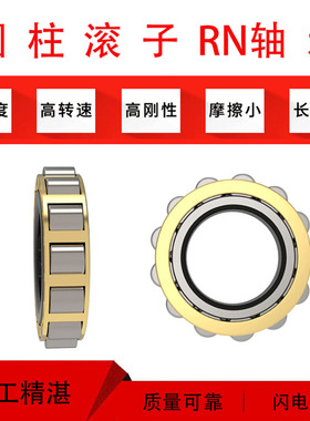 哈尔滨圆柱滚子减速机偏心轴承 RN310 312 313 219 222 228 328M