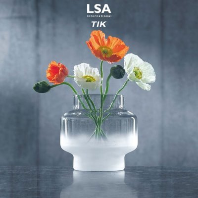 LSA进口水晶花瓶迷雾MIST磨砂玻璃花器样板间摆件轻奢北欧风极简