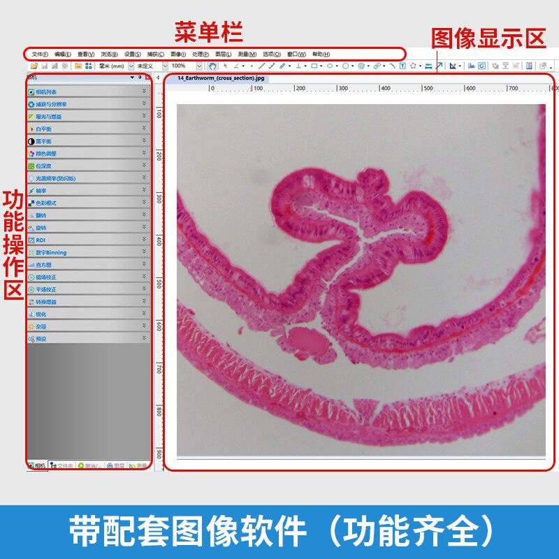 天诺翔显微镜摄像头相机工业ClCD荧光拍照录像测量金相分析病理报