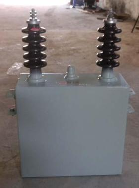 单相高压并联电力补偿器BAM BWF BFF BFM11/3-100-1W电力电容器