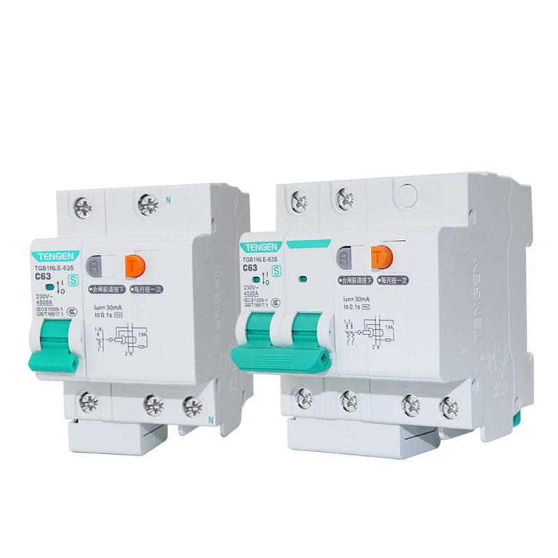 天正 漏电保护开关断路器带空气开关电闸2p空开220v家用63a带漏保
